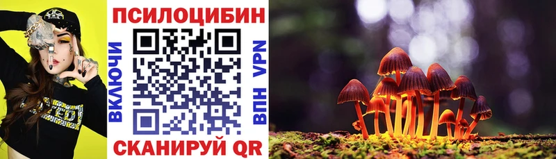 Псилоцибиновые грибы GOLDEN TEACHER  где продают   Оха 